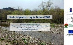 Znasz się na przyrodzie? To konkurs dla Ciebie!