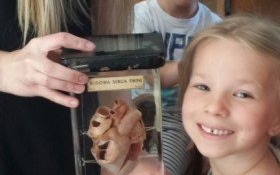 Przedszkolaki SPWP nr 1 w Kętach w pracowniach Liceum im. Stanisława Wyspiańskiego