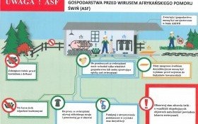 Apel do hodowców trzody chlewnej