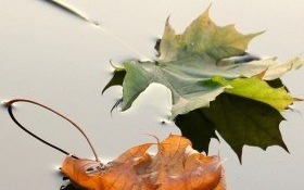 Biblioteka we wrześniu