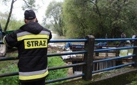 Józef Szafran - nie ma powodów do niepokoju