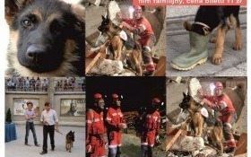 Niedzielne popołudnie z PSEM-RATOWNIKIEM. Zapraszamy!