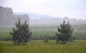 Wieje i pada. Tak ma być całą niedzielę