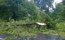 Orkan „Grzegorz” nie dawał za wygraną. Pracowity weekend dla strażaków