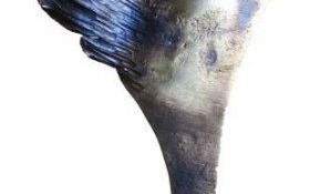 Zgłoś najlepszego pracownika socjalnego z Małopolski