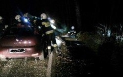 Walka z wiatrem trwa. Straż pożarna znów w terenie