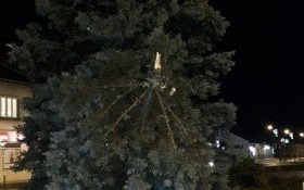 Wiatr nie ustaje i łamie drzewa jak zapałki