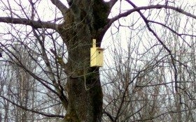 Nowe „domy” dla ptaków