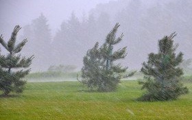 Znów mocniej powieje