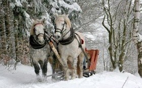 Zaproszenie na kulig do Istebnej