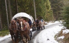 Kulig studentów UTW do Istebnej