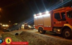 Dzik wtargnął na jezdnię