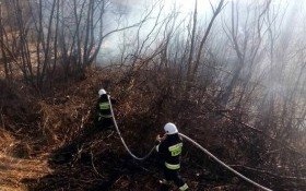 Przyszła wiosna, a z nią… pożary traw!