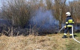 Kolejne pożary traw. Znów interweniowali strażacy