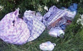 Mandatem w zaśmiecanie