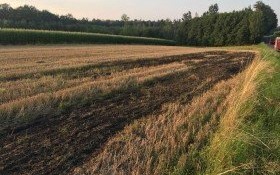 Pożar ścierniska w Bulowicach