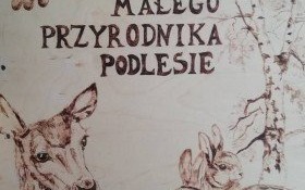 Program przyrodniczy w przedszkolu na Podlesiu