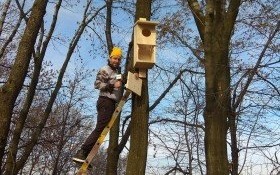 Nowe domy dla sowiej rodziny!