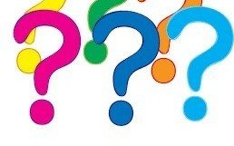 W święta pomóżmy zgubie wrócić do właścicielki!