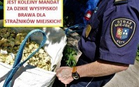 Straż Miejska znów wykryła „właściciela” dzikiego wysypiska
