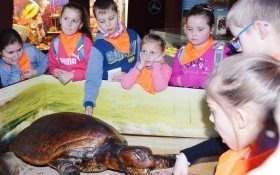 ZIMA W MIEŚCIE - czyli ferie z Domem Kultury