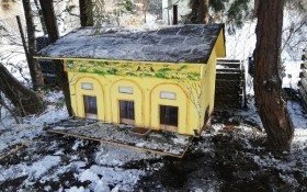 Zarząd Dzielnicy Nowe Miasto pomaga wolno żyjącym kotom