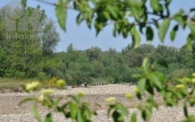 Miłośnicy kęckiej przyrody!