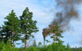 Ekointerwencje już w dziesiątkach małopolskich gmin