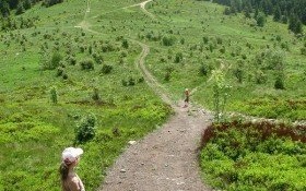 Pamiętajmy o bezpieczeństwie nad wodą i w górach
