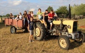 Szaleństwo w gospodarstwie burmistrza gminy Kęty