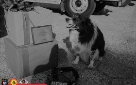 Odszedł Max - psi MENTOR z jednostki OSP Kęty