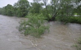 Ostrzeżenie o możliwych gwałtownych wzrostach stanów wód z dnia 04.02.2020 r.