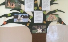 Dogoterapia w szkole w Bielanach