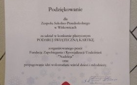 Działanie przez pomaganie z ZS-P w Witkowicach