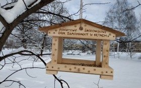 Zima zabójcza dla ptaków. Pamiętajmy o dokarmianiu!