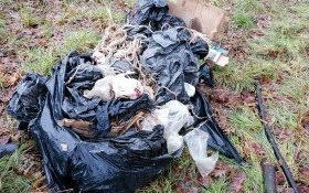 Kolejny śmieciarz złapany! Straż Miejska zapowiada bezwzględne kary