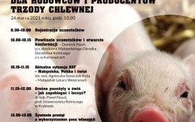 Konferencja on-line dla hodowców i producentów trzody chlewnej
