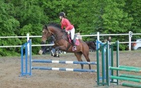 RODZINNY PIKNIK MAJOWY ORAZ III TOWARZYSKIE ZAWODY JEŹDZIECKIE - relacja