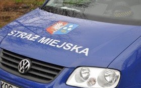 Kontrolują, pouczają, dbają o ład i porządek w gminie