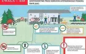 Apel Powiatowego Lekarza Weterynarii w Oświęcimiu do hodowców trzody chlewnej