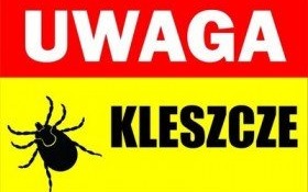 Kleszcze w tym roku dają się we znaki. Poznaj FAKTY i MITY dotyczące tych pajęczaków