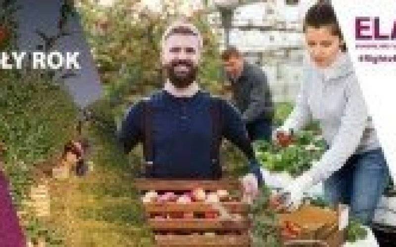 Trwa kampania informacyjna nt. pracy sezonowej, którą organizuje Europejski Urząd ds. Pracy
