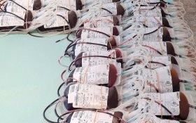 Oddali ponad 20 litrów krwi