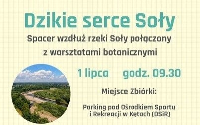 Dzikie serce Soły – zaproszenie na spacer i warsztaty botaniczne