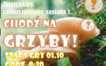 GRA TERENOWA "CHODŹ NA GRZYBY"