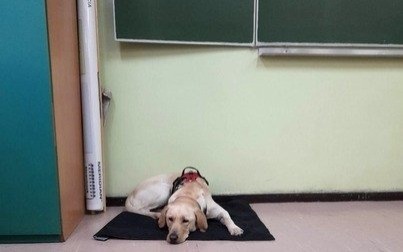 Projekt kęckiej Dwójki zwycięzcą w głosowaniu internautów!