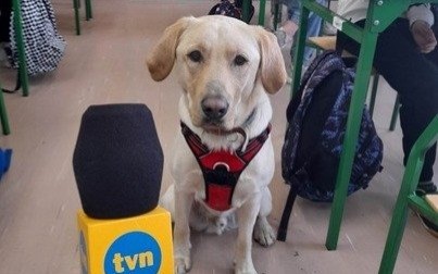 Pies w szkole - jako wspomaganie edukacji i wychowania - wywiad z panią Moniką Kojder