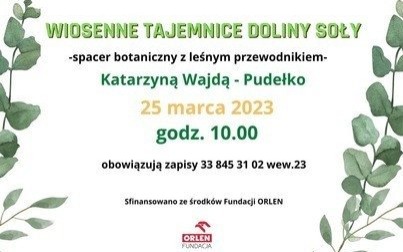 Wiosna w bibliotece – zapraszamy do udziału w warsztatach i spacerze botanicznym