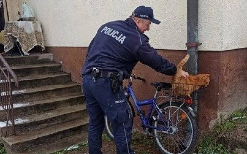 Pomagamy i chronimy. Policjanci pomogli seniorce w zakupach, a także odnaleźli jej skradziony rower