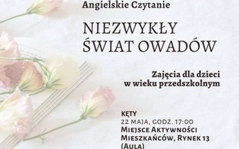 Niezwykły świat owadów – Zajęcia języka angielskiego dla przedszkolaków